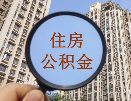 利津退休后查不到公积金明细了吗（退休后公积金查询不到原因）